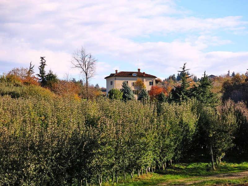 Ferienwohnung Cascina Bringin Mondovì Exterior foto